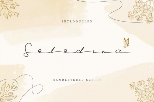 Seledina – Elegant Hand Lettered Script Font Download