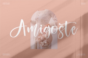 Amigoste - Beautiful Script Font Font Download
