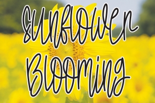 Sunflower Blooming Font Download