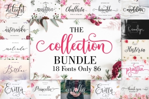 The Collection Bundle Font Download