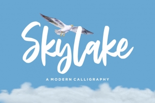 Skylake Modern Calligraphy Font Font Download