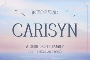 Carisyn – Serif Font Family Font Download