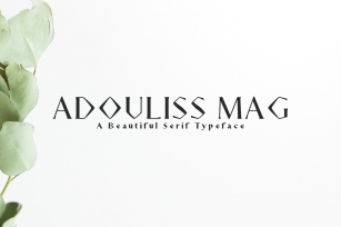 Adouliss Mag Serif Family Font Download