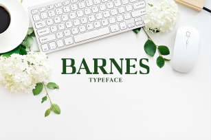 Barnes Font Download