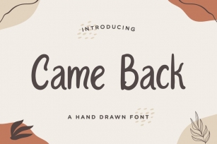 Came Back – Handwritten Font Font Download