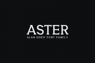 Aster Slab Serif Font Family Font Download
