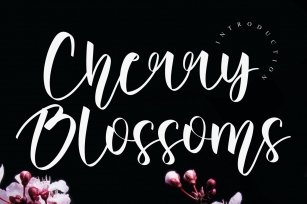 Cherry Blossoms Font Download