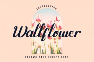 Wallflower Font Download