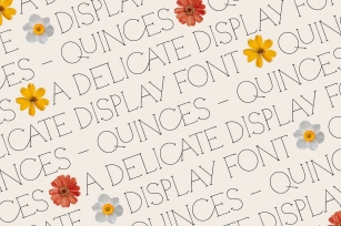 Quinces – A Delicate Display Serif Font Download