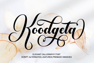 Koodgeta Font Download