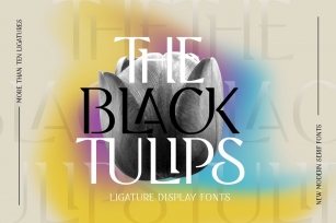 Black Tulip Font Download