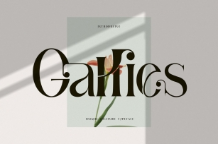 Gallies Ligature Serif Typeface Font Download