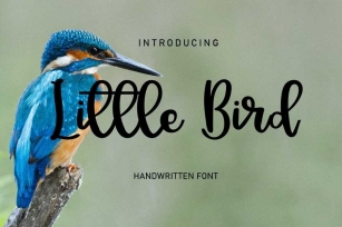 Little Bird Font Download
