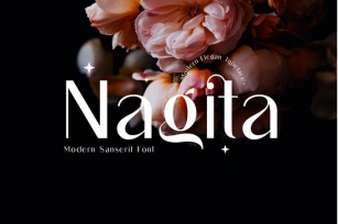 Naqgita Font Download