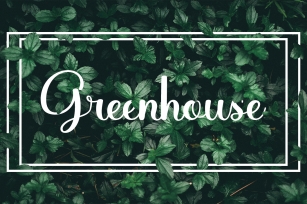Greenhouse Font Download