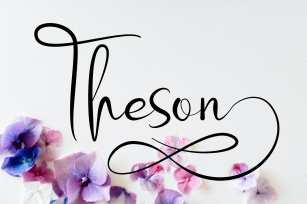 Theson Font Download
