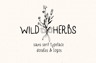 Wild Herbs. Rustic Sans Serif . Doodles, Logos Font Download