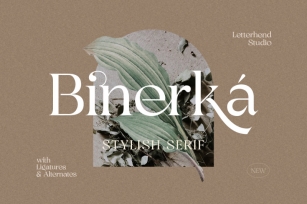 Binerka - Stylish Serif Font Font Download