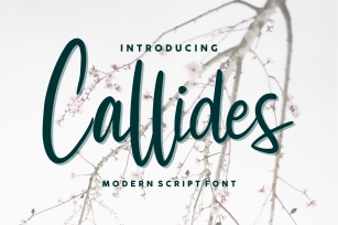 Callides Script Font Download