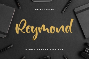 Reymond - Bold Font Font Download