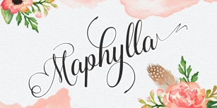 Maplylla Font Download