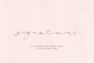 Signature Script Font (Cursive Fonts, Handwritten Fonts, Calligraphy) Font Download