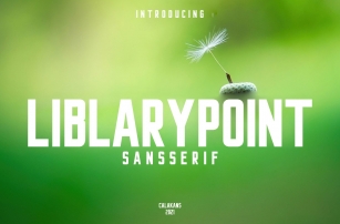 Liblarypoint Font Download