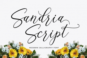 Sandria Script Font Download