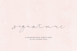 Signature Script Font Font Download