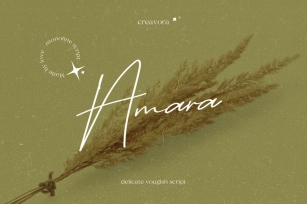 Amara -  Signature Script Font Font Download
