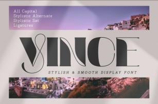 Vince Luxury Display Font Download