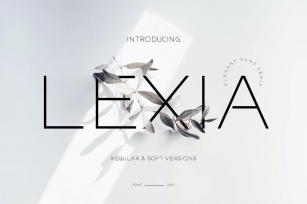 Lexia Business Advertisement Font Font Download