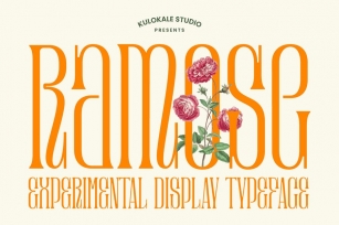 Ramose - Experimental Classic Display Serif Font Font Download