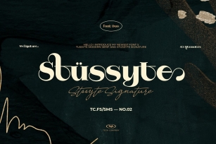 Stussyte Duo Font Download