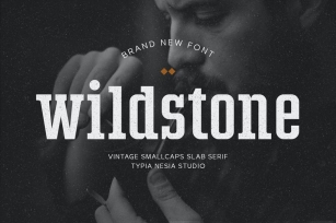 Wildstone - wild vintage smallcaps slab serif Font Download