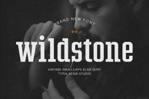 Wildstone Font Download