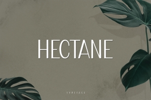 Hectane Font Download