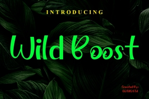 Wild Boost Font Download