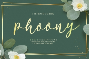 Phoony Script Font Download