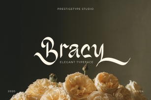 Bracy Font Download
