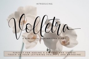 Volletra Script Font Download