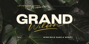 Grand Wilson Sans Font Download