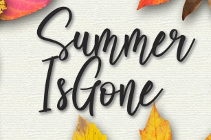 Summer is Gone Font Download