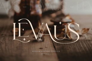Levaus Ligature Typeface Font Download