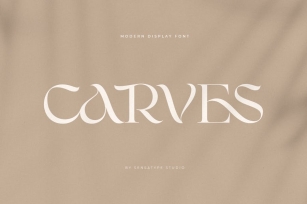 CARVES - Modern Display Font Font Download
