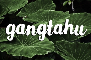 Gangtahu Font Download