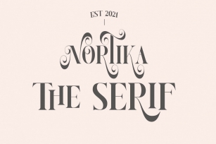 Nortika Off 50% Font Download
