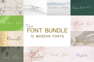 The Modern Calligraphy Font Bundle Font Download