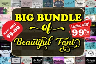 Big Bundles of Feautiful Font Download