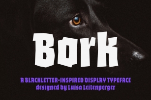 Bork: a blackletter-inspired font Font Download